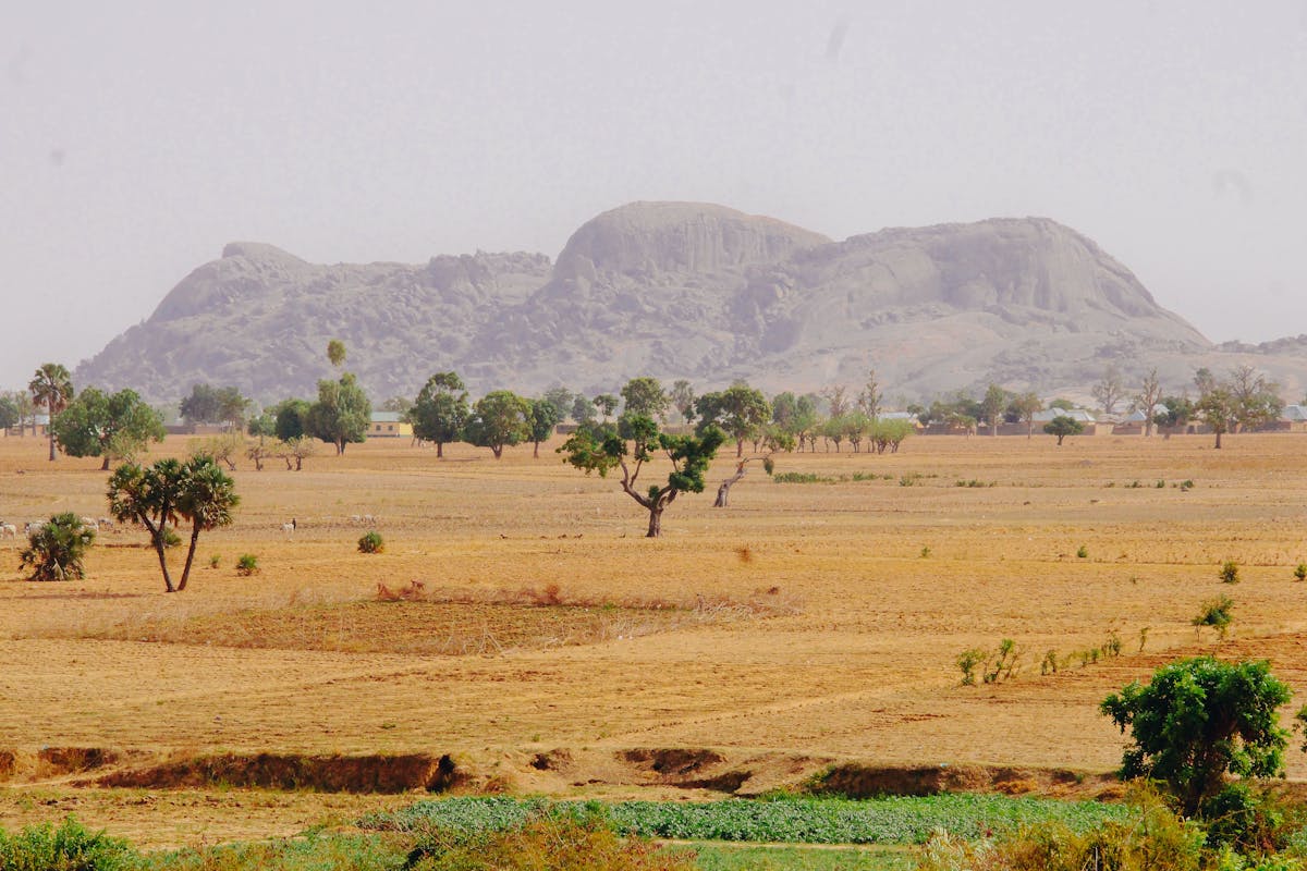 Expansive view of Nigerian savannah with distant hills and scattered trees under a clear blue sky representing the tropical West African native habitat of Dracaena trifasciata