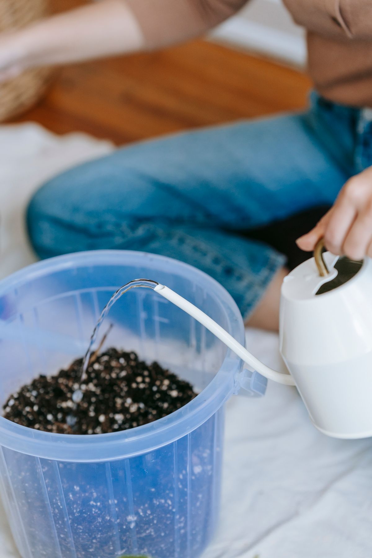 A person watering a potted plant thoroughly, soaking the soil rather than lightly topping it up