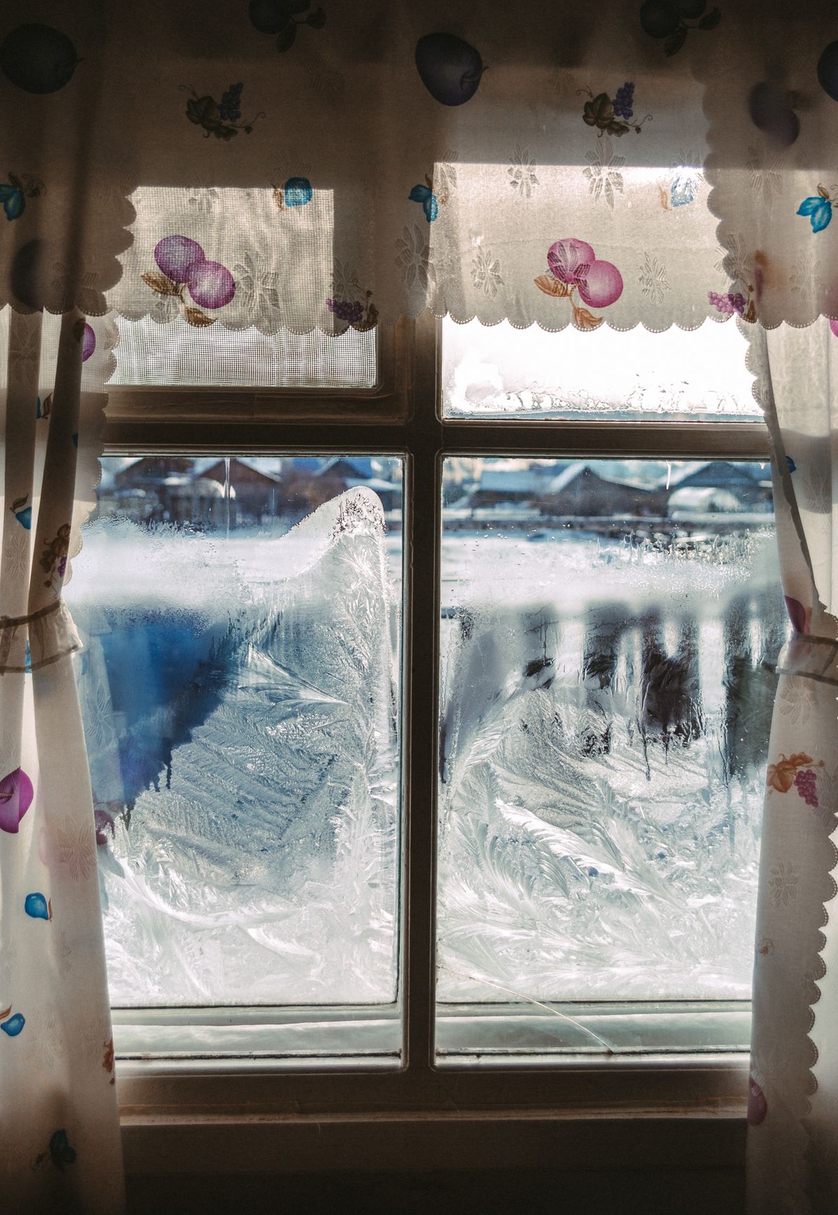 A frosted window in winter, the kind of cold-draft exposure that can trigger defensive curling in snake plant leaves